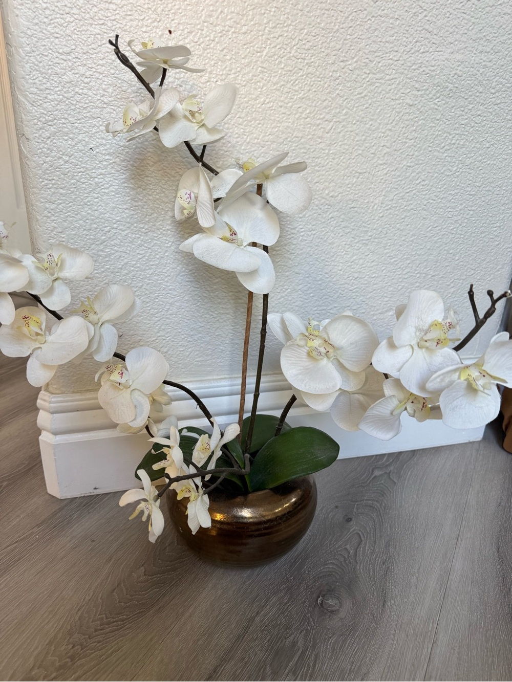 Pier 1 imports White Orchid Arrangement in Bronze Vase - Home Accents